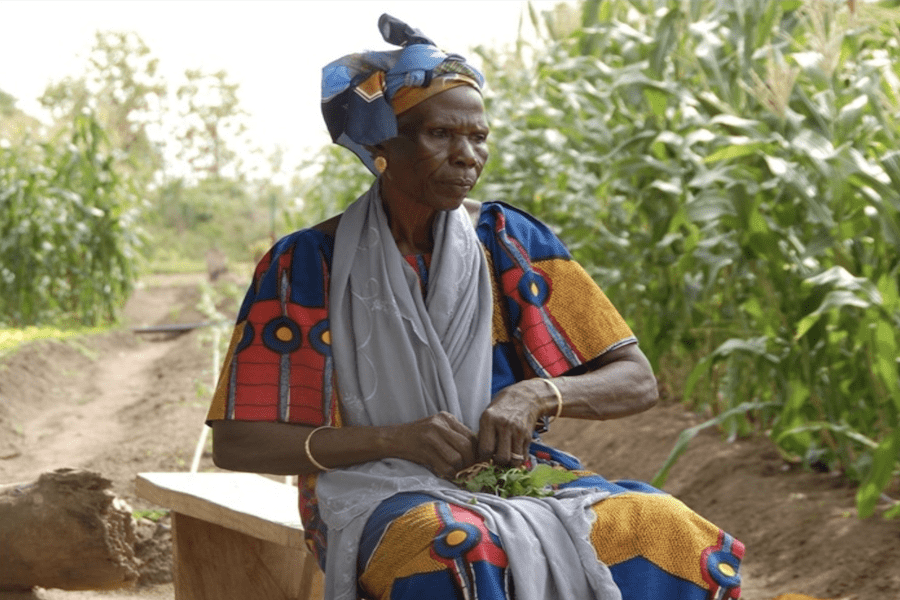 The president of the Dunkassa farming cooperative sits among her crops, which are watered by solar power. (Credit: Solar Electric Light Fund)